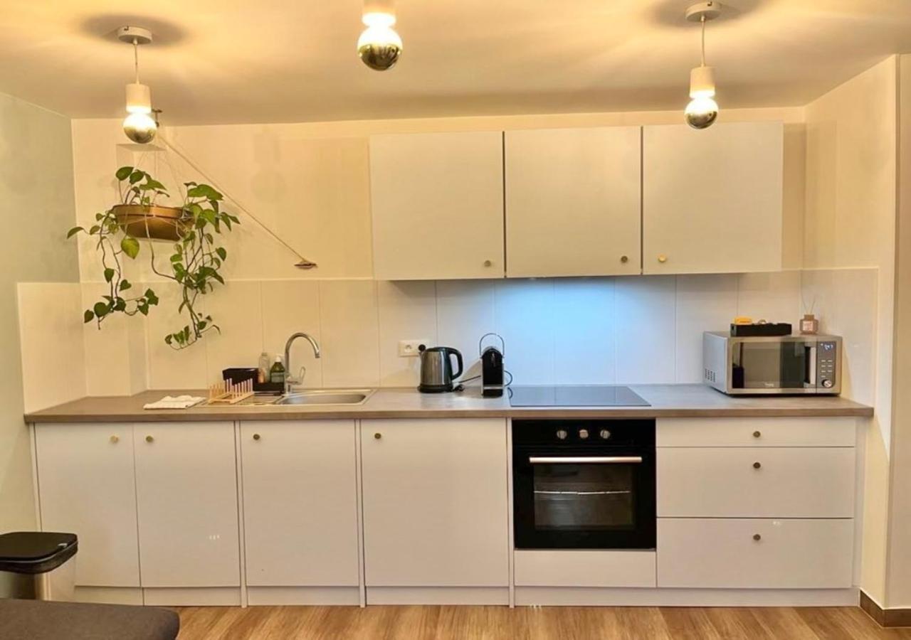 Appartement 2P Strasbourg Centre ภายนอก รูปภาพ
